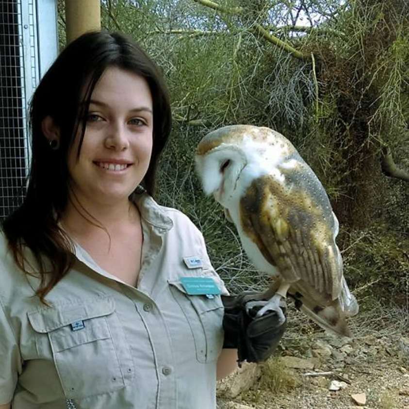 arizona sonora desert museum uniform while holding a barn owl named ty