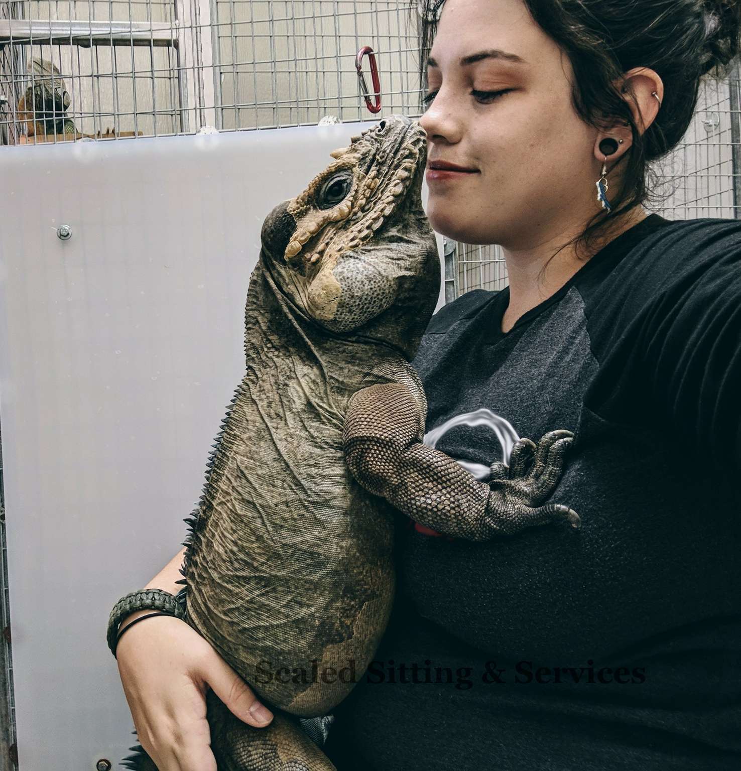 myself with an adult rhino iguana in my lap, our faces nearly touching