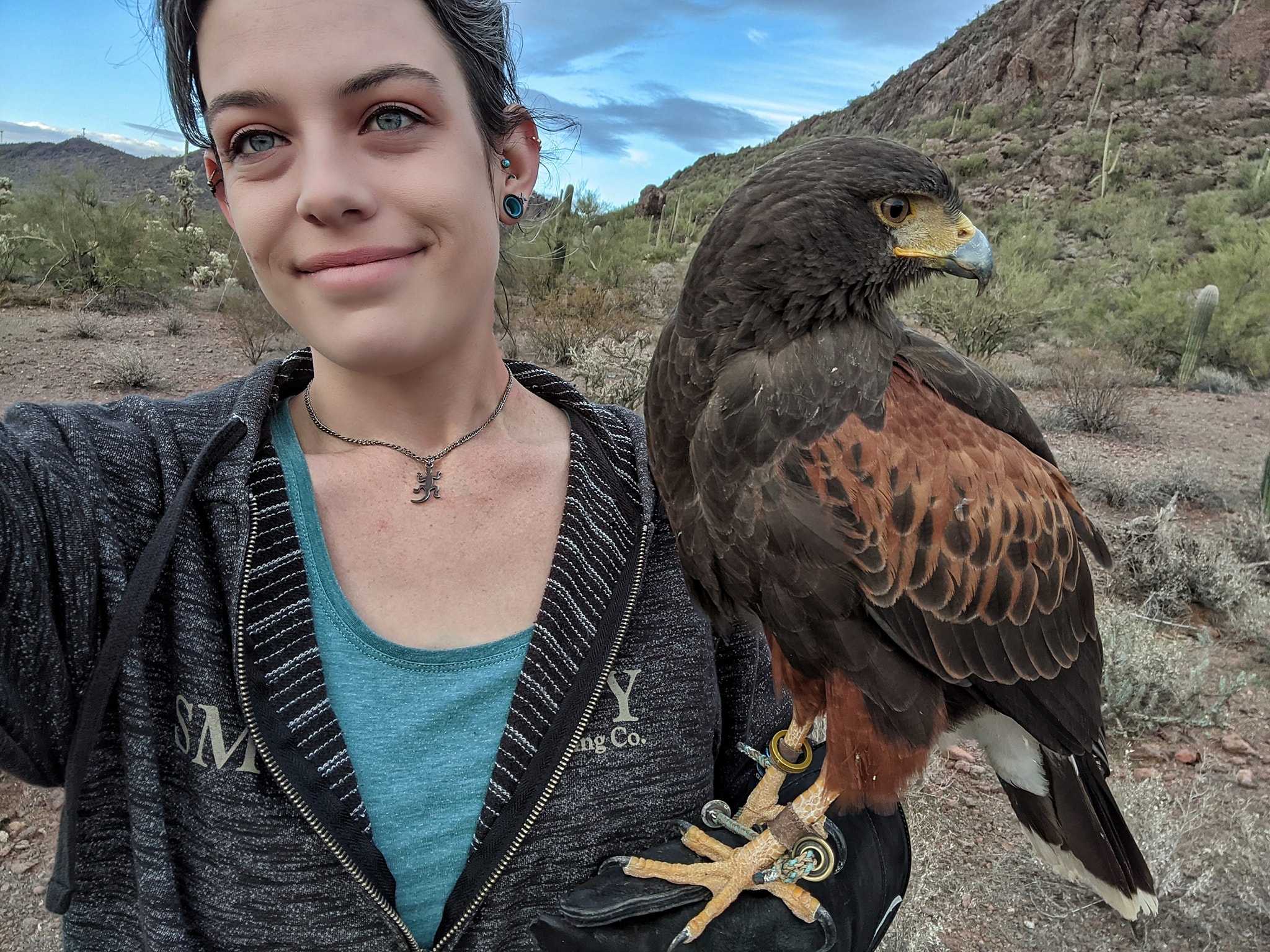 myself with a brown harris hawk standing on my gloved hand