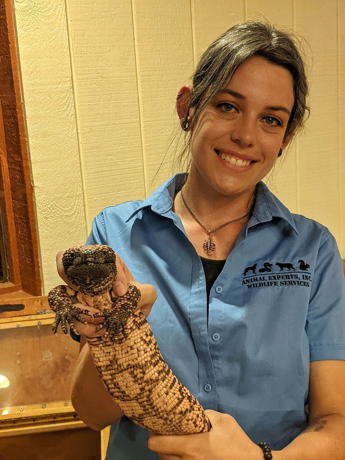myself wearing a blue animal experts shirt holding a gila monster