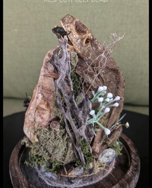 Mummified Sonoran Toad