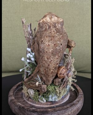 Glass Dome Display